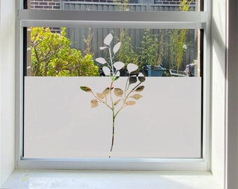 Eukalyptus Semi Sichtschutz Fensterfolie Milchglas Dekor Fenster Sichtschutz Für Schlafzimmer Pflanze Fenster Aufkleber Etch Glasfolie für Duschglastür