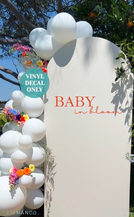 Baby Shower Welcome Sign Wall Decal - Little Miss One Derful Gender Reveal Backdrop Sticker (35.4x15.7 Inch) - View #7