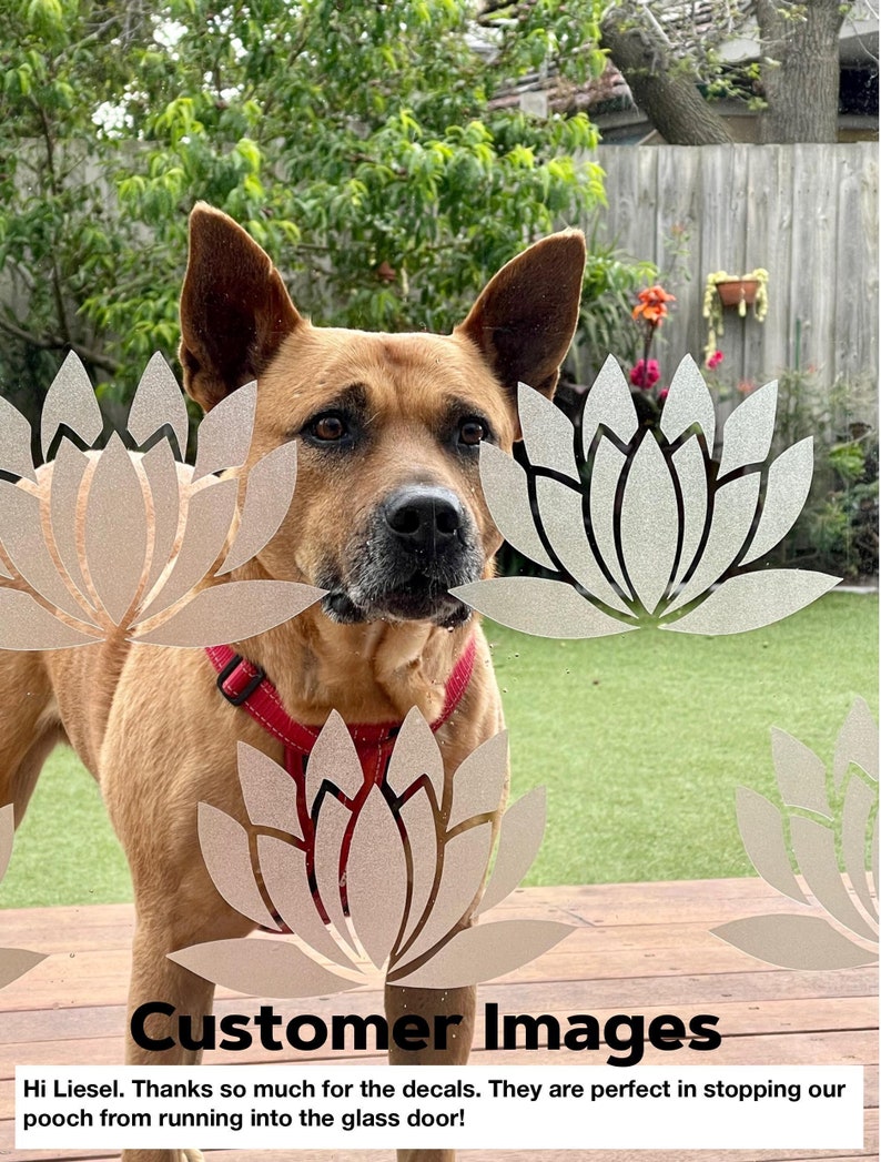 May include: A brown dog looking through a glass door with a white lotus flower decal. The text "Customer Images" is at the bottom of the image. The text "Hi Liesel. Thanks so much for the decals. They are perfect in stopping our pooch from running into the glass door!" is below the text "Customer Images".