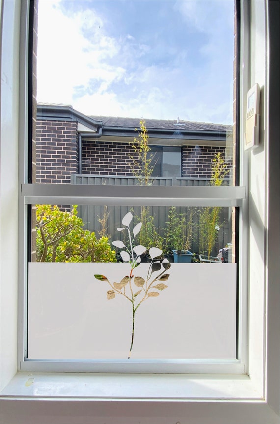 DIY-Sichtschutz: So können Nachbarn nicht mehr ins Fenster gucken