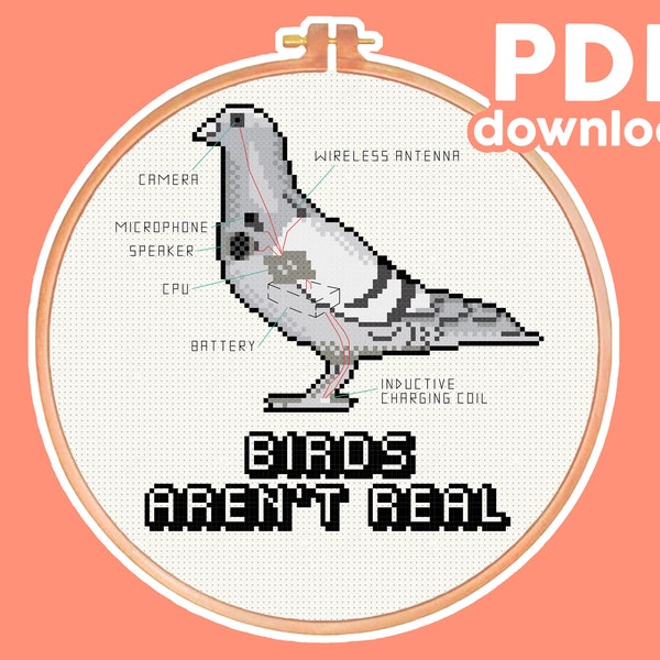 Birds Aren't Real - Meme, Subversive, Pop Culture - Cross Stitch Pattern - Digital PDF