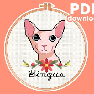 Bingus - Sphynx Cat Meme - Cute, Funny, Modern, Subversive Cross Stitch Pattern - Digital PDF