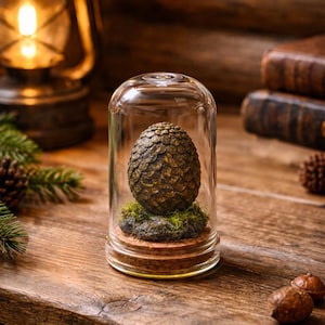 VITRINA DE HUEVOS DE DRAGÓN | Edición limitada | Bajo cúpula de cristal | Diorama hecho a mano | Regalo de fantasía | Vitrina geek | Fourth Wings