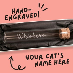 Custom Whisker Keeper Engraved | Etched Glass Jar | Ashes Urn Oddities Display | Pet Hair Feather Memorial | Cat Dog Bird Mom Dad Parent
