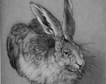 Gravure/gravure imprimée à la main de Durer d’un lièvre imprimé en noir sur papier
