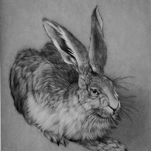 Durer's Hare- hand printed etching/ engraving of a hare printed in black on paper