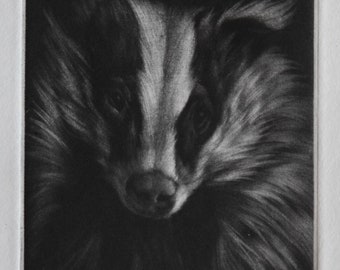 Brock le Blaireau- petite gravure mezzotint d’un blaireau, imprimé à l’encre noire sur papier. Œuvre originale faite à la main.