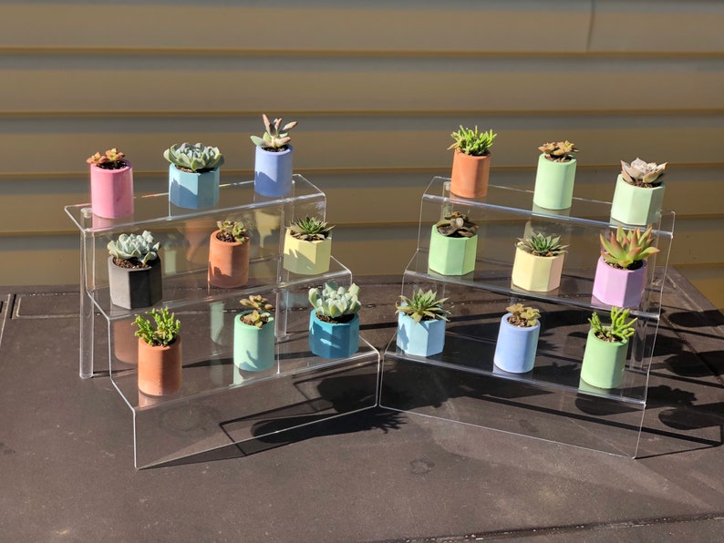 Succulent Pots with Succulents Succulent Set with Pots image 1