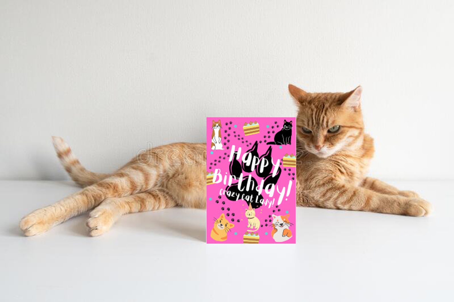 Happy Birthday Crazy Cat Lady Greetings Card - Etsy 日本