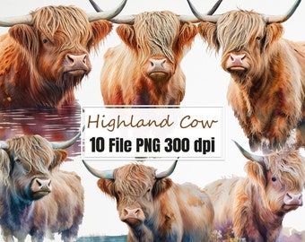 Highland Cow Watercolor, Highland cow png Clipart Sublimation Designs Digital illustration.