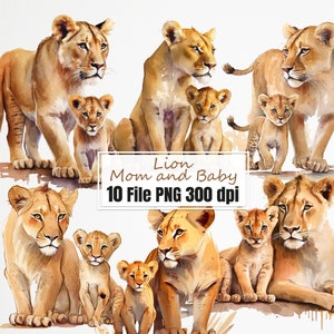 Löwe png, Löwenmama und Baby Aquarell Clipart, Tier Muttertag PNG Bundle.