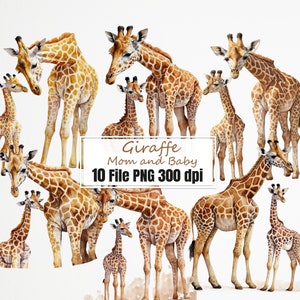 Giraffe png, Giraffe Mama und Baby Aquarell Clipart, Tier Muttertag PNG Bundle.