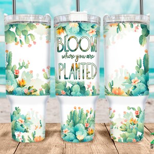 Envoltura para vaso de 40 oz para profesores Florece donde estás plantado Suculentas Diseños de archivos PNG de sublimación para vasos de 40 oz