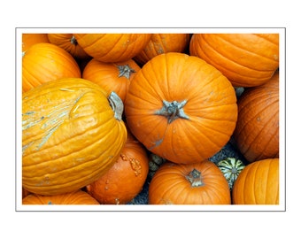 Fall Pumpkins Greeting Card