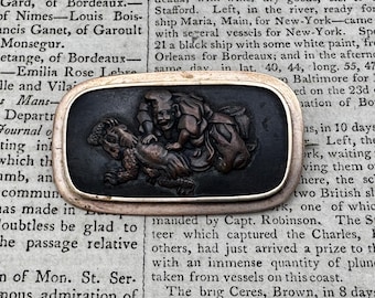 Spilla Kashira con spada in bronzo giapponese dell'era Meiji: Studioso Shakudo con tartaruga (1868-1912)