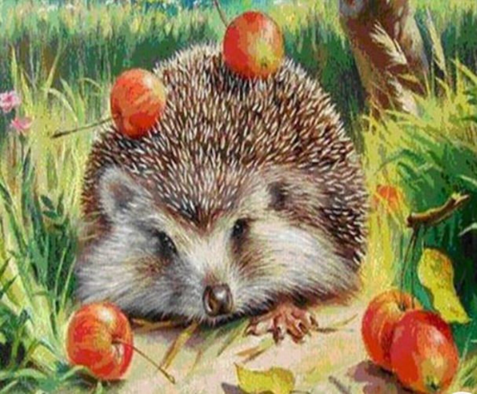 Crystal Art Diamond Painting 5D Hedgehog | Etsy