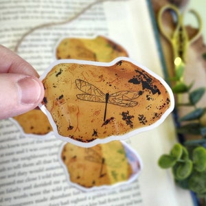 Outlander inspiriert Libelle in Amber glänzend Vinyl Aufkleber | Claire und Jamie Fraser | Bücherwurm Vinyl Aufkleber | Outlander Geschenk