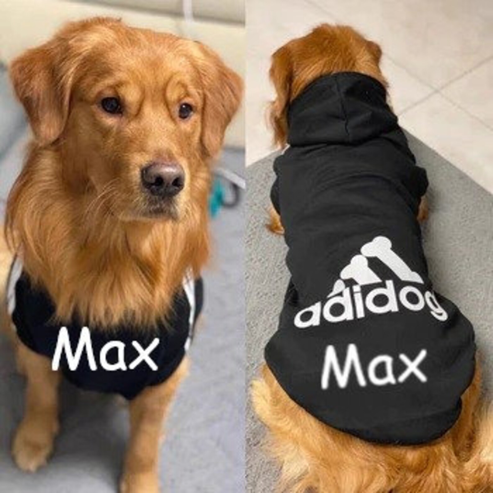 Personalised Adidog Pet Adidog Adidas Style Dog Hoodie Etsy