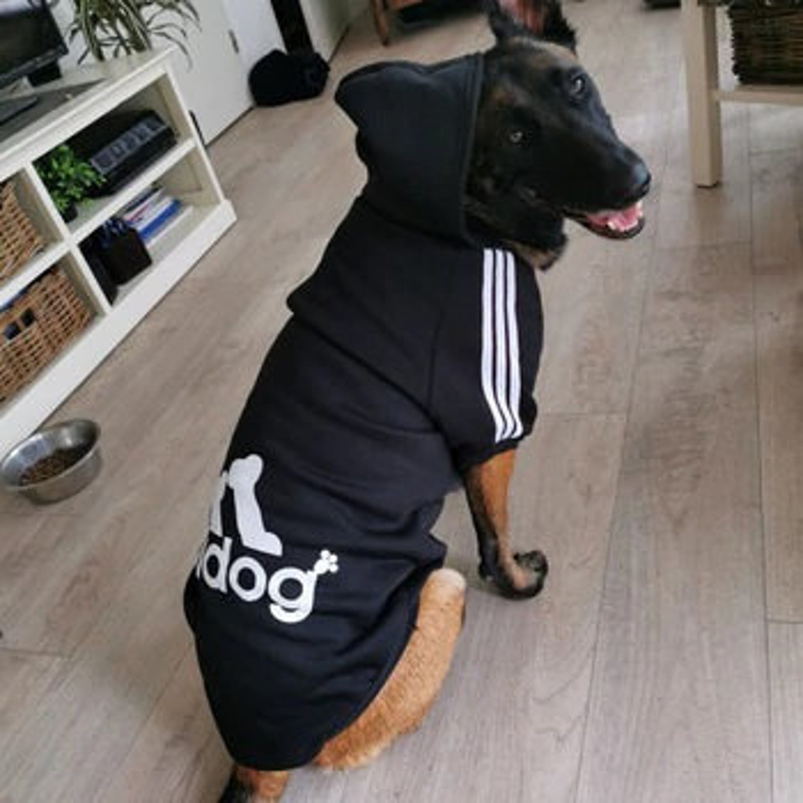Personalised Adidog Pet Adidog Adidas Style Dog Hoodie | Etsy