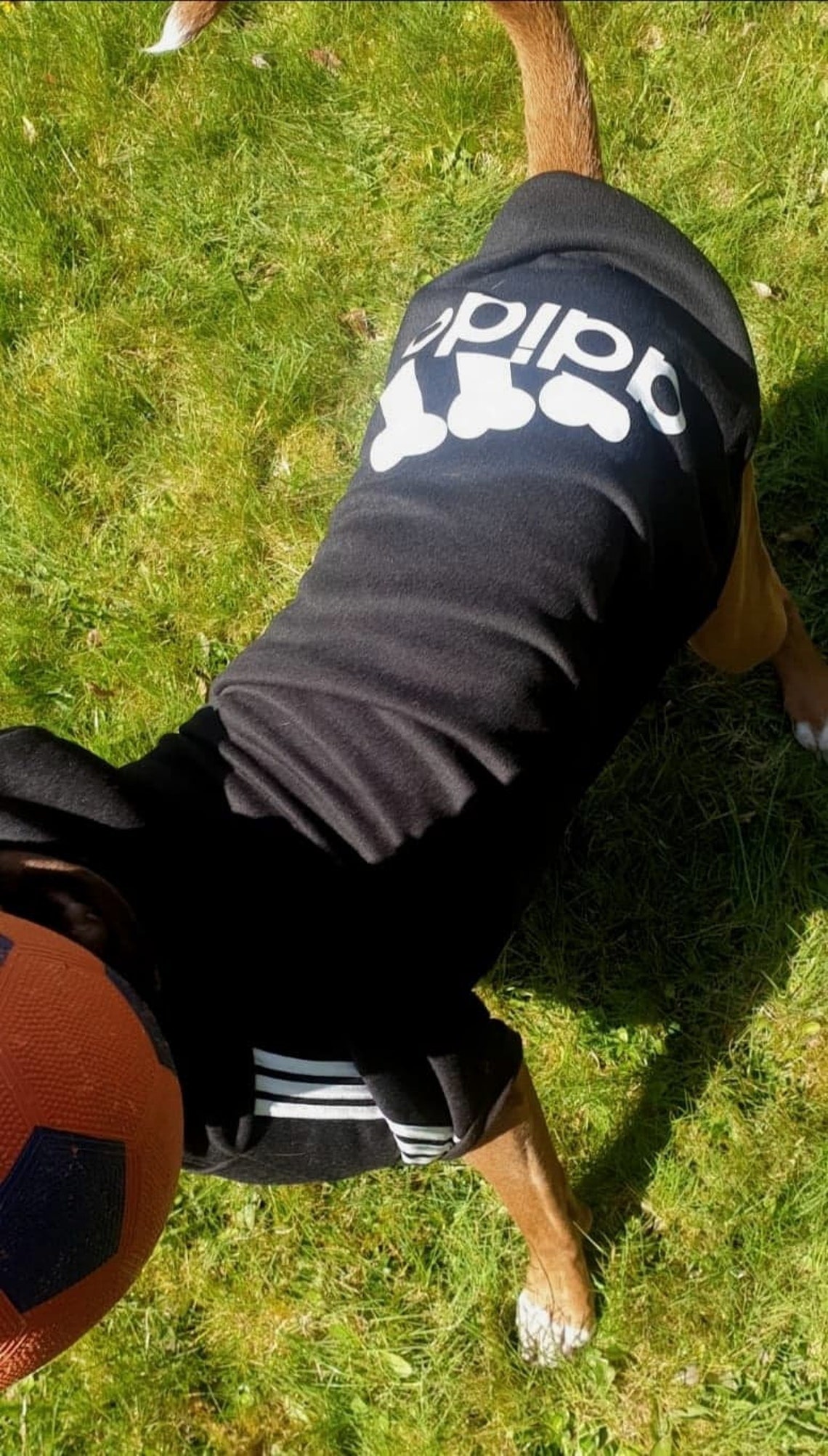 Personalised Adidog Pet Adidog Adidas Style Dog Hoodie | Etsy