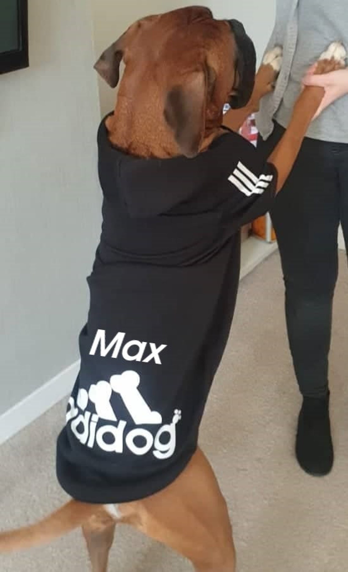 Personalised Adidog Pet Adidog Adidas Style Dog Hoodie Etsy