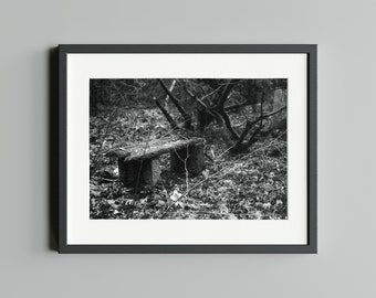 Schwarz-Weiß Fotografie "Die einsame Bank", Druck auf FineArt Baryta
