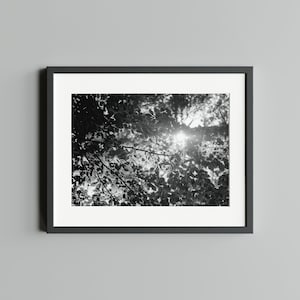 Black and white photography &quot;Summer&quot;, print on FineArt Baryta