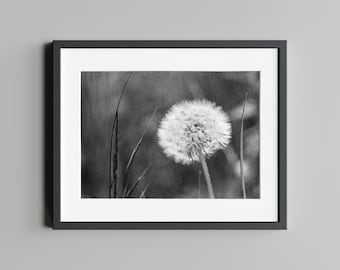 Schwarz-Weiß Fotografie "Frühling II", Druck auf FineArt Baryta