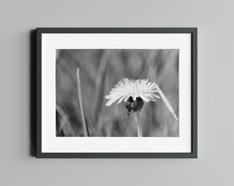 Schwarz-Weiß Fotografie "Frühling I", Druck auf FineArt Baryta
