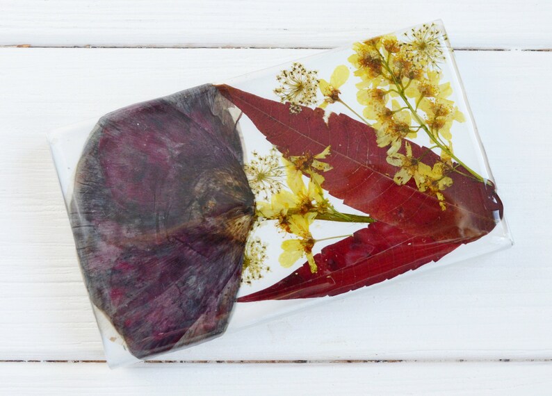 Real Poppy Flower Smoking Box Joint Holder Cigarette Case Etsy