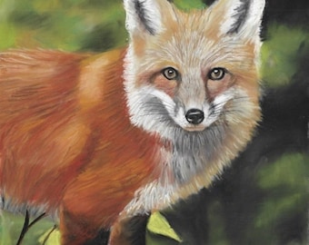 an original pastel painting of a beautiful RED FOX