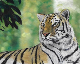 An original wildlife pastel painting of a beautiful AMUR TIGER