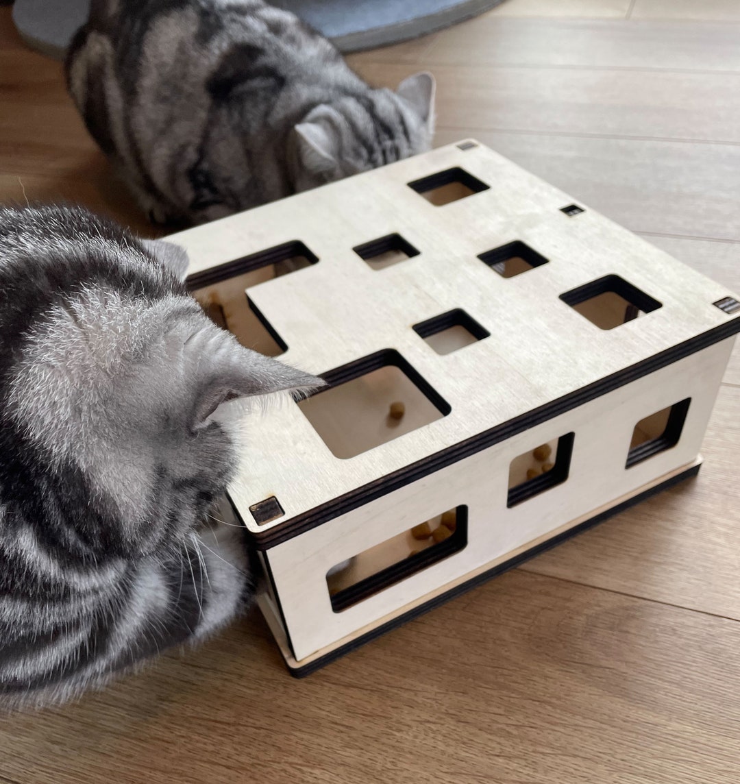 Cat feeder dragons den discount