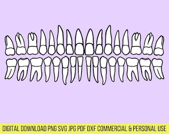 Dental Teeth SVG files, Full Arch digital download for Cricut or Silhouette (includes .jpg .svg .png .pdf) dental hygienist, tooth, dentist