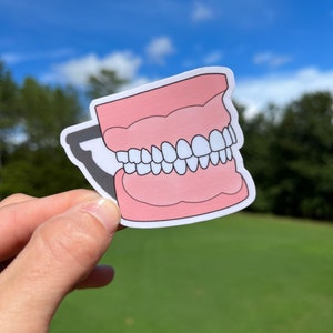 Dental Sticker of Typodont, Dentist Sticker, Dental Student Gift, Dental Hygienist Sticker, Dental Stickers, Tooth Sticker, Dental Assistant