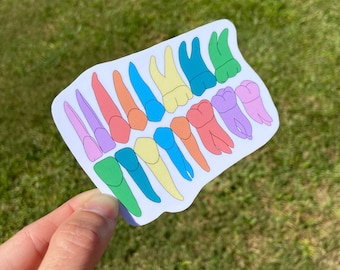 Multicolor Teeth Sticker for Dental Hygienist, Dental Assistant, Tooth Dental, RDH, Dental Student Gift, Hygienist Gift, Assistant Gift