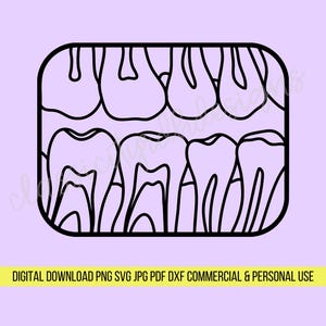 Arquivos SVG BWX Dental, download digital para Cricut ou Silhouette (inclui .jpg .svg .png .pdf) arquivos de corte png de higienista dental dente dentista