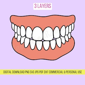 Arquivos SVG de recorte de dente Typodont, download digital para Cricut ou Silhouette (inclui .jpg .svg .png .pdf) higienista dental, dente