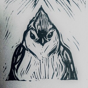 Titmouse