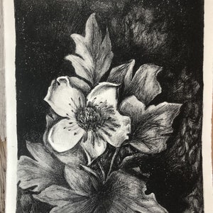 Wildflower lithograph print