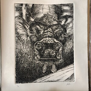 Cow etching print