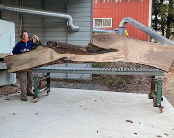 May include: A large, rustic slab of wood with a natural edge and a beautiful grain pattern. The wood is light brown in color with darker brown streaks. The slab is resting on a metal rack with wheels.