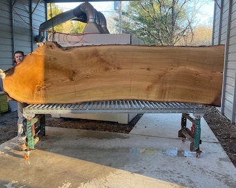 May include: A large, unfinished, light brown wood slab with a natural edge resting on a metal rolling table. The slab has a grain pattern and is marked with measurements in inches.