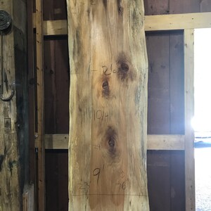 Sycamore | Live edge wood | Reclaimed wood slabs | Kiln dried wood for sale | Trusted wood suppliers | Woodworking source