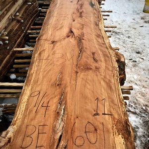 Beech | Live edge wood | Reclaimed wood slabs | Kiln dried wood for sale | Trusted wood suppliers | Woodworking source