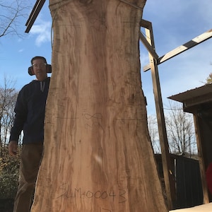 Maple | live edge wood | reclaimed wood slabs | kiln dried wood for sale | trusted wood suppliers | woodworking source