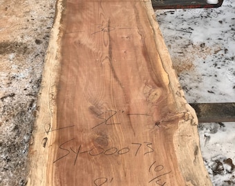 Sycamore | Live edge wood | Reclaimed wood slabs | Kiln dried wood for sale | Trusted wood suppliers | Woodworking source