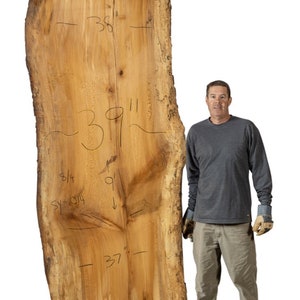 Sycamore | live edge wood | reclaimed wood slabs | kiln dried wood for sale | trusted wood suppliers | woodworking source