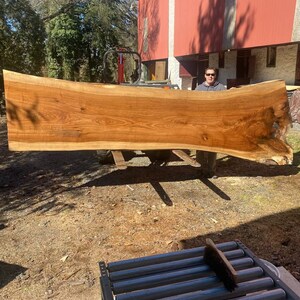 May include: A large, light brown wooden slab with a natural edge, resting on a forklift. The slab is being moved outdoors, likely for woodworking or furniture making.