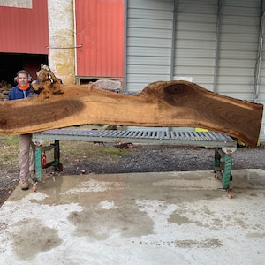 BIG Walnut live edge wood slabs